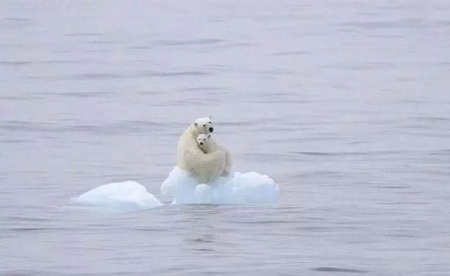桑普多米尼科遭遇两连败,危机临近的简单介绍 桑普多米尼科遭遇两连败,危机临近的简单介绍