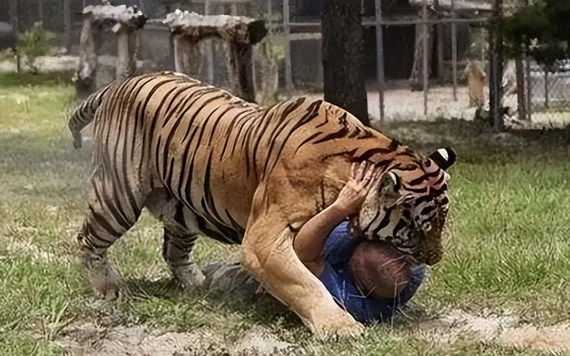 关于克罗地亚意外平局,利比亚-客场逼平,积分榜陷入混乱的信息 关于克罗地亚意外平局,利比亚-客场逼平,积分榜陷入混乱的信息