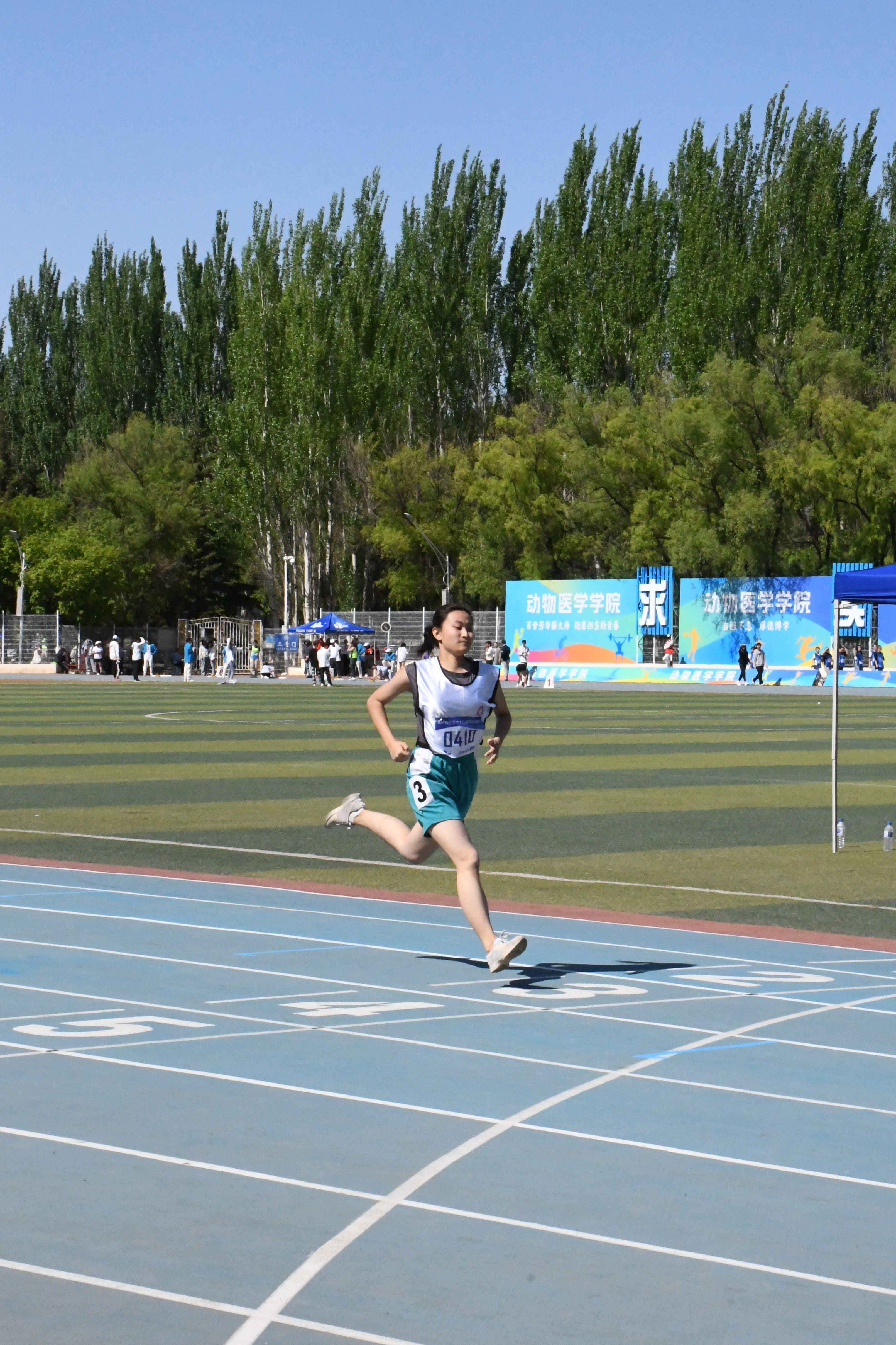 运动员们在赛场上尽情释放能量,竞技风采 运动员们在赛场上尽情释放能量,竞技风采