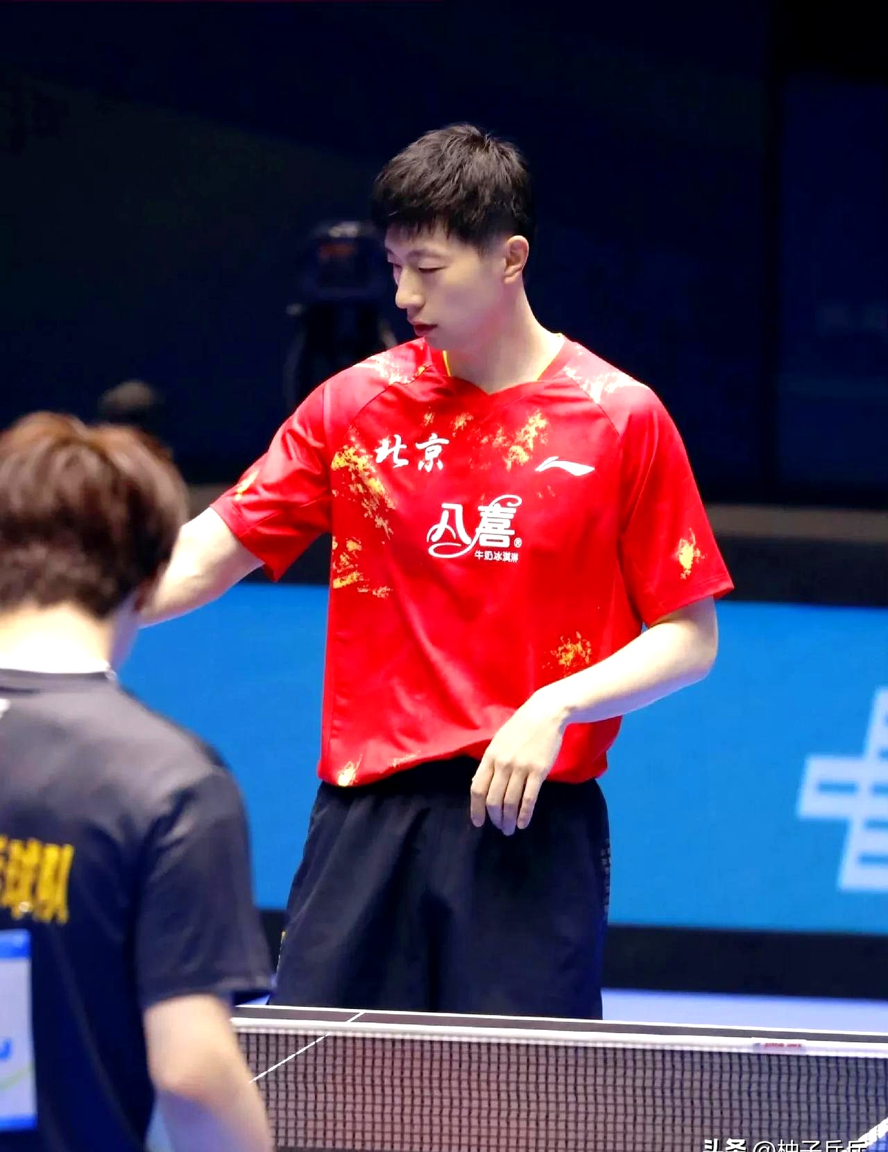 关于欢呼声响彻全场，球队胜利进军四强的信息