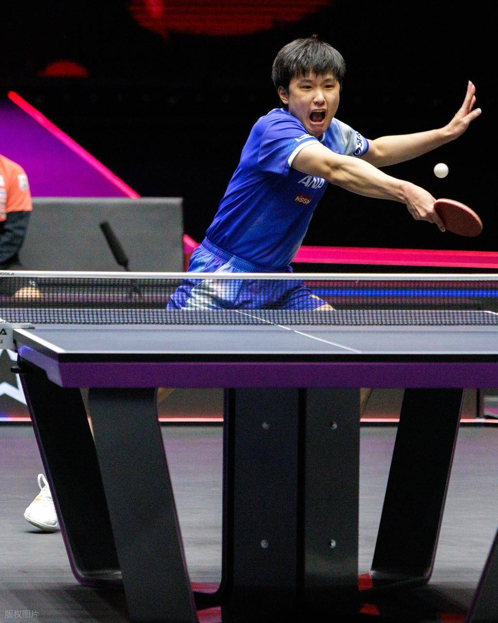 英国选手全力以赴，夺取奖牌成绩