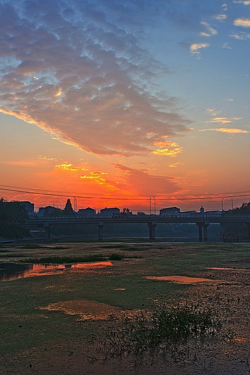 朝鲜队伍报牌绝杀,带来胜利的曙光的简单介绍 朝鲜队伍报牌绝杀,带来胜利的曙光的简单介绍