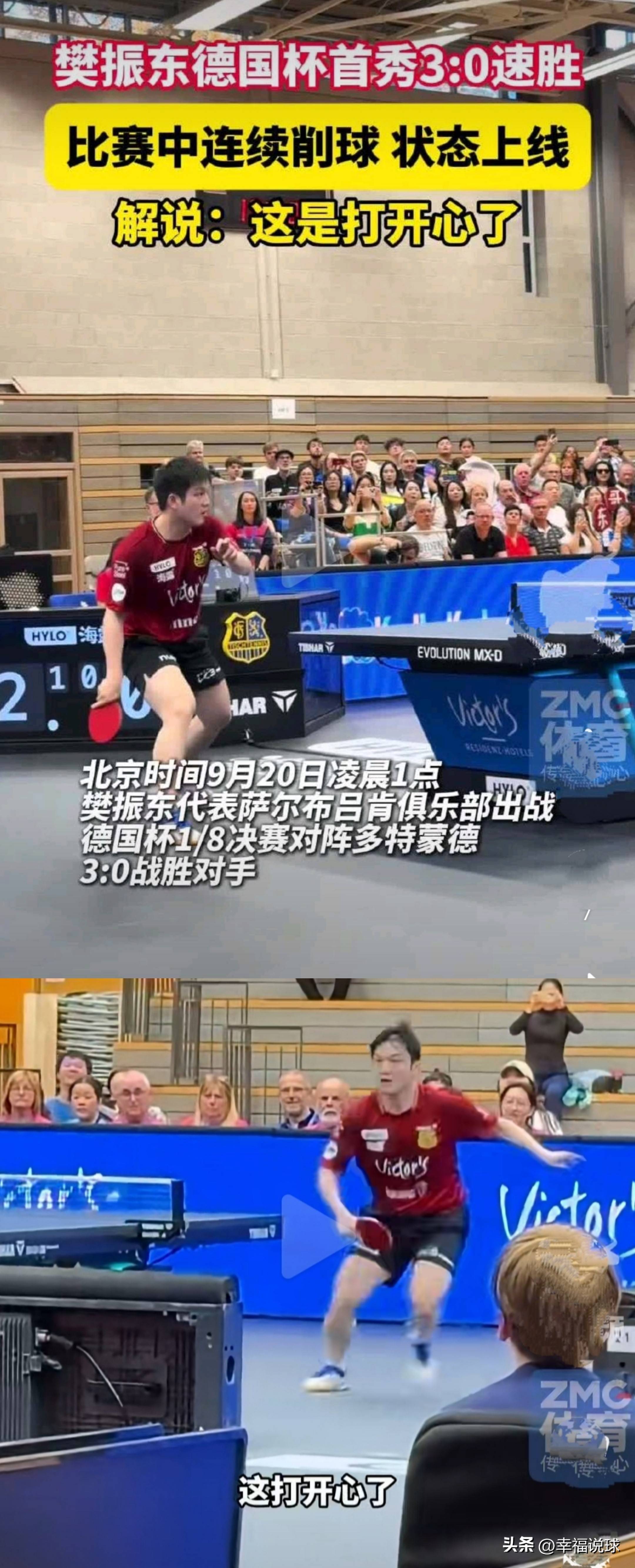 瑞典乒乓球队翻盘德国乒乓球队,樊振东制霸全场的简单介绍 瑞典乒乓球队翻盘德国乒乓球队,樊振东制霸全场的简单介绍