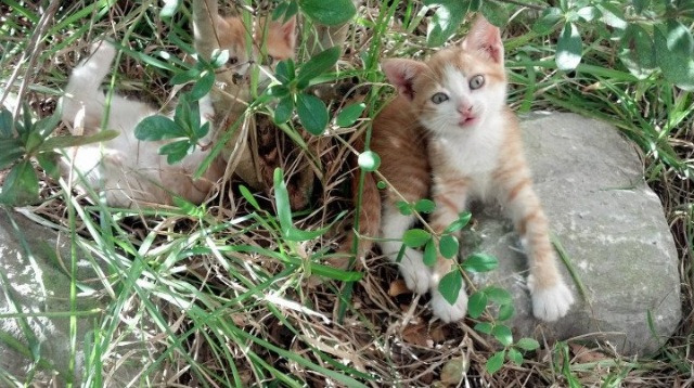 双雄鏖战，曼城险胜，足球世界排名的关键一跃