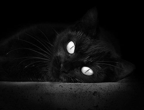 当蓝黑链条绞杀红魔，一场定义现代足球的战术艺术