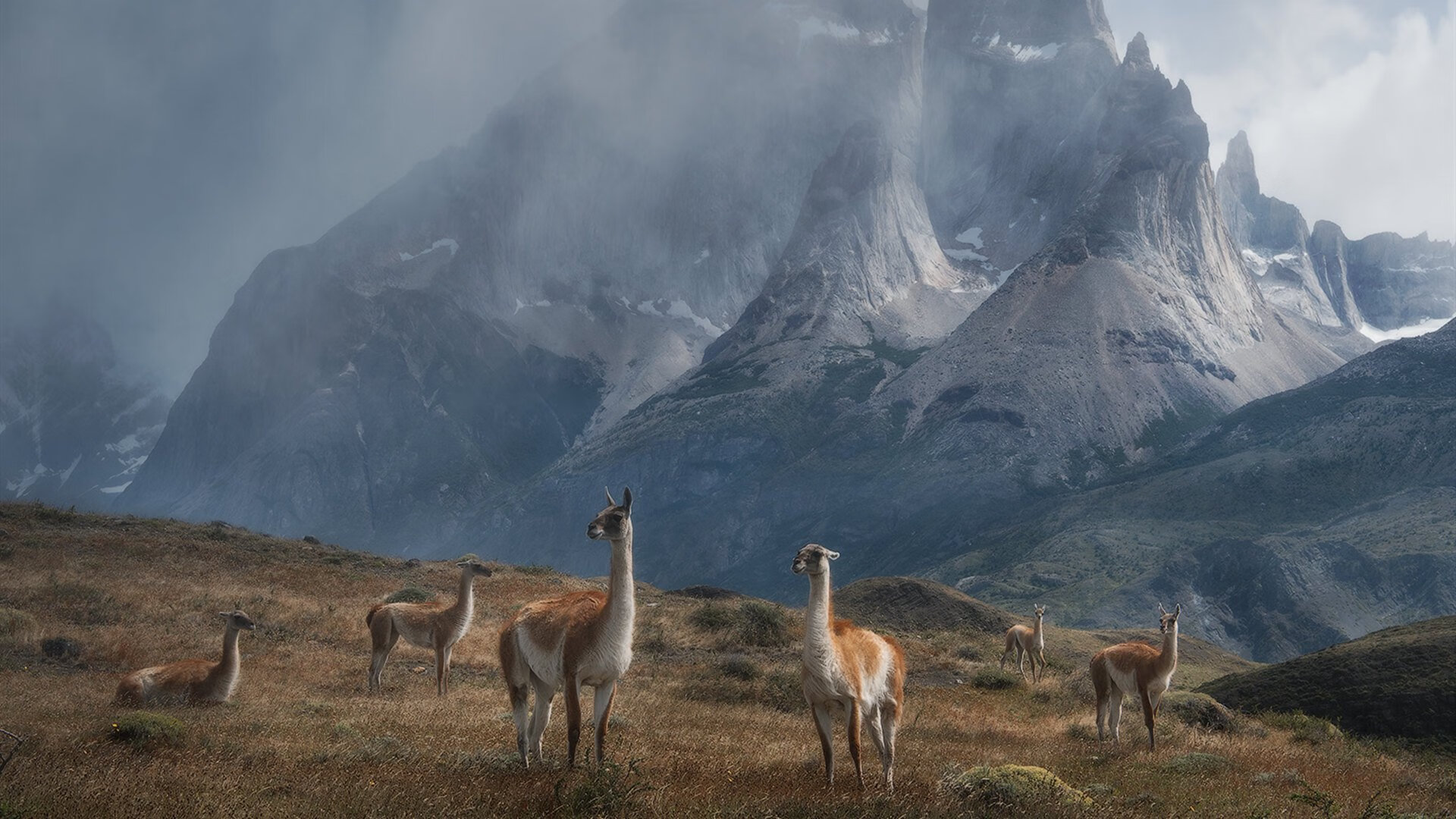 斯通斯闪耀焦点战，摩纳哥与丹麦对决中的关键先生