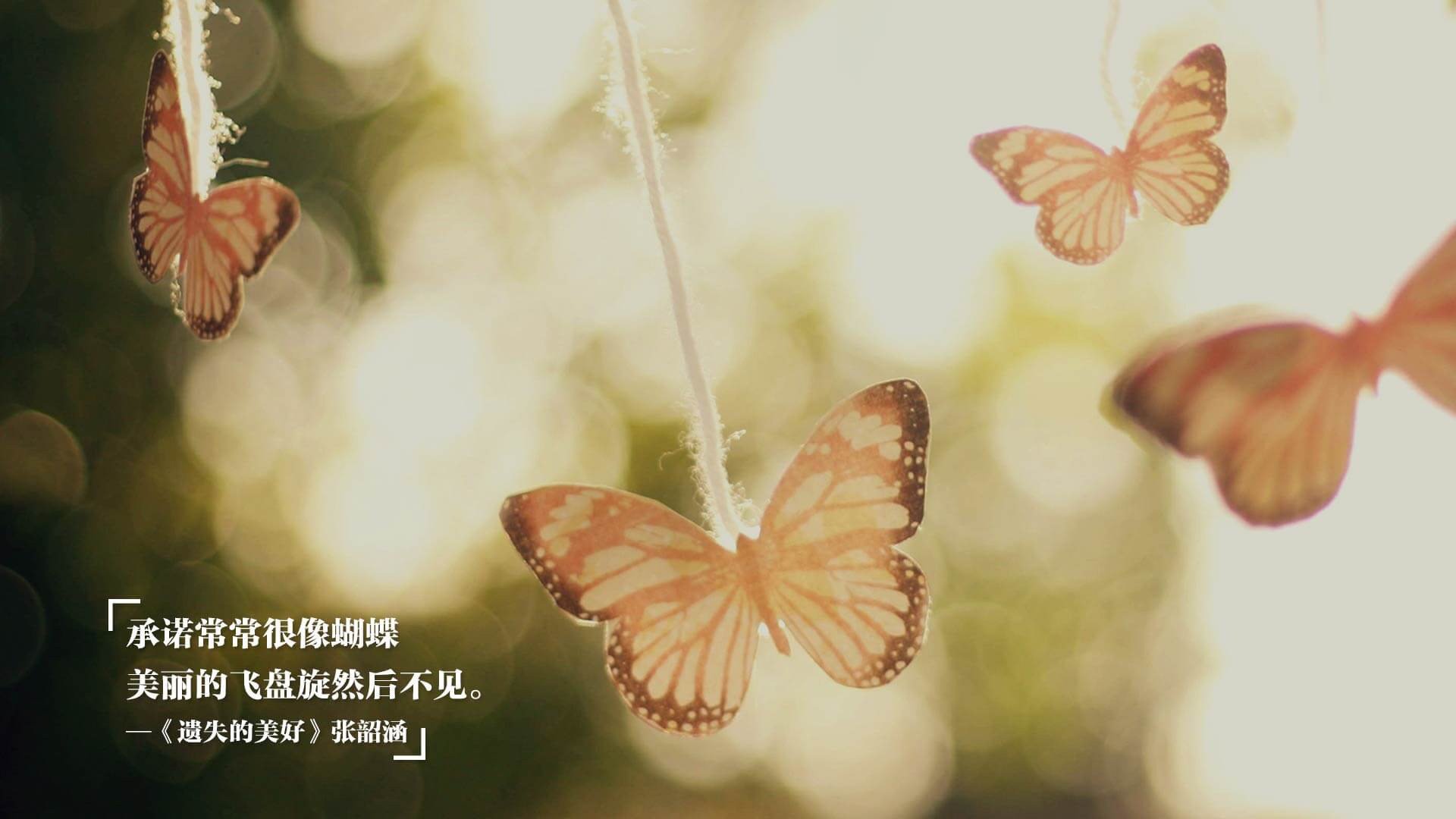 绝境塔图姆,沉默者的救赎之战