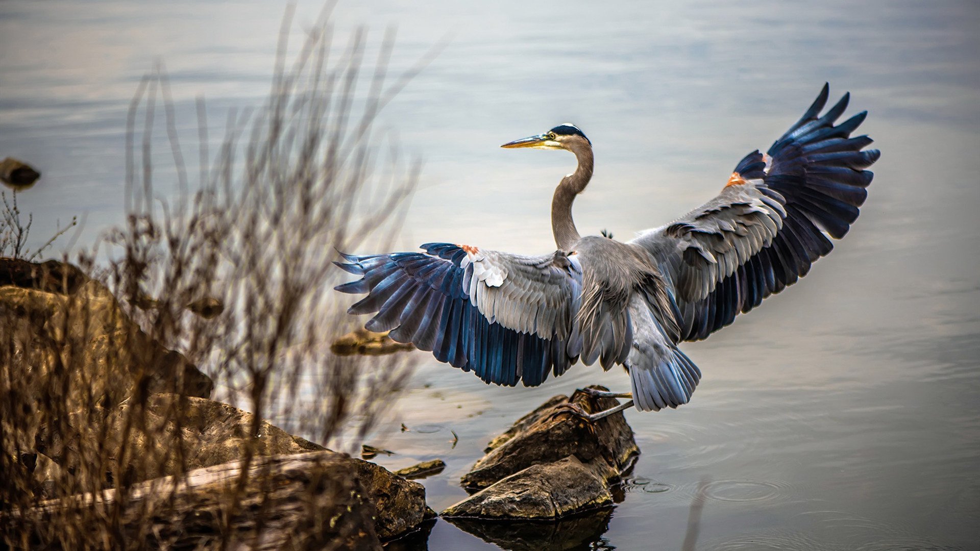 恩佐持续制造杀伤,皇马连续得分压制威尔士,一场战术与实力的碾压