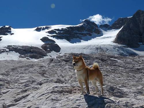 团队篮球与孤胆英雄,雄鹿猛龙之战映照下,东契奇如何定义现代篮球的终极命题?