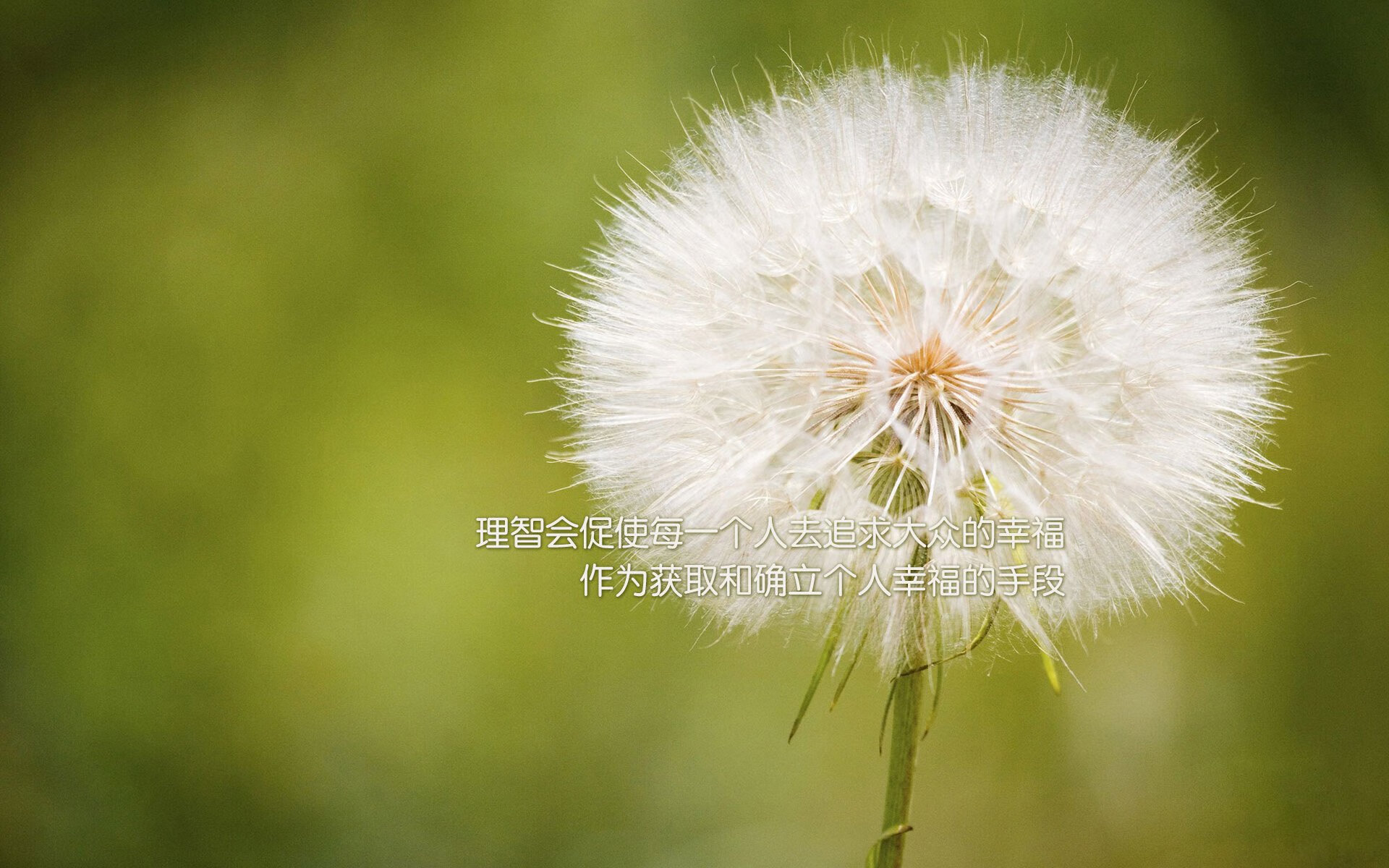 冰川与熔岩,灰熊淘汰赛碾过太阳,约基奇化身关键先生铸就经典