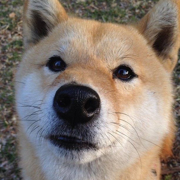 吉林击溃马刺上演逆袭好戏，班凯罗狂揽39分展现绝对统治力！